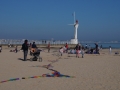 Grandcerfvolant