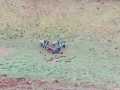IMG-20240404-WA0008