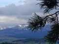 IMG-20240404-WA0017