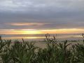IMG-20231214-WA0008