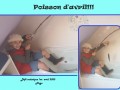 Hugo-poisson