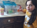 Pauline-D-poisson