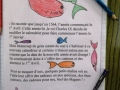 SALOME-POISSON-2